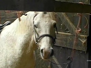 Sucio salvaje adulto película en un granero para traviesa granja niñas