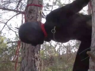 Atado hasta a un árbol al aire libre en erótico clothes&comma; vistiendo pantis y alto tobillo botas heels&comma; duro joder