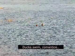 Romantic muie pe the plaja de dragoste cu ducks: murdar video 01 | xhamster